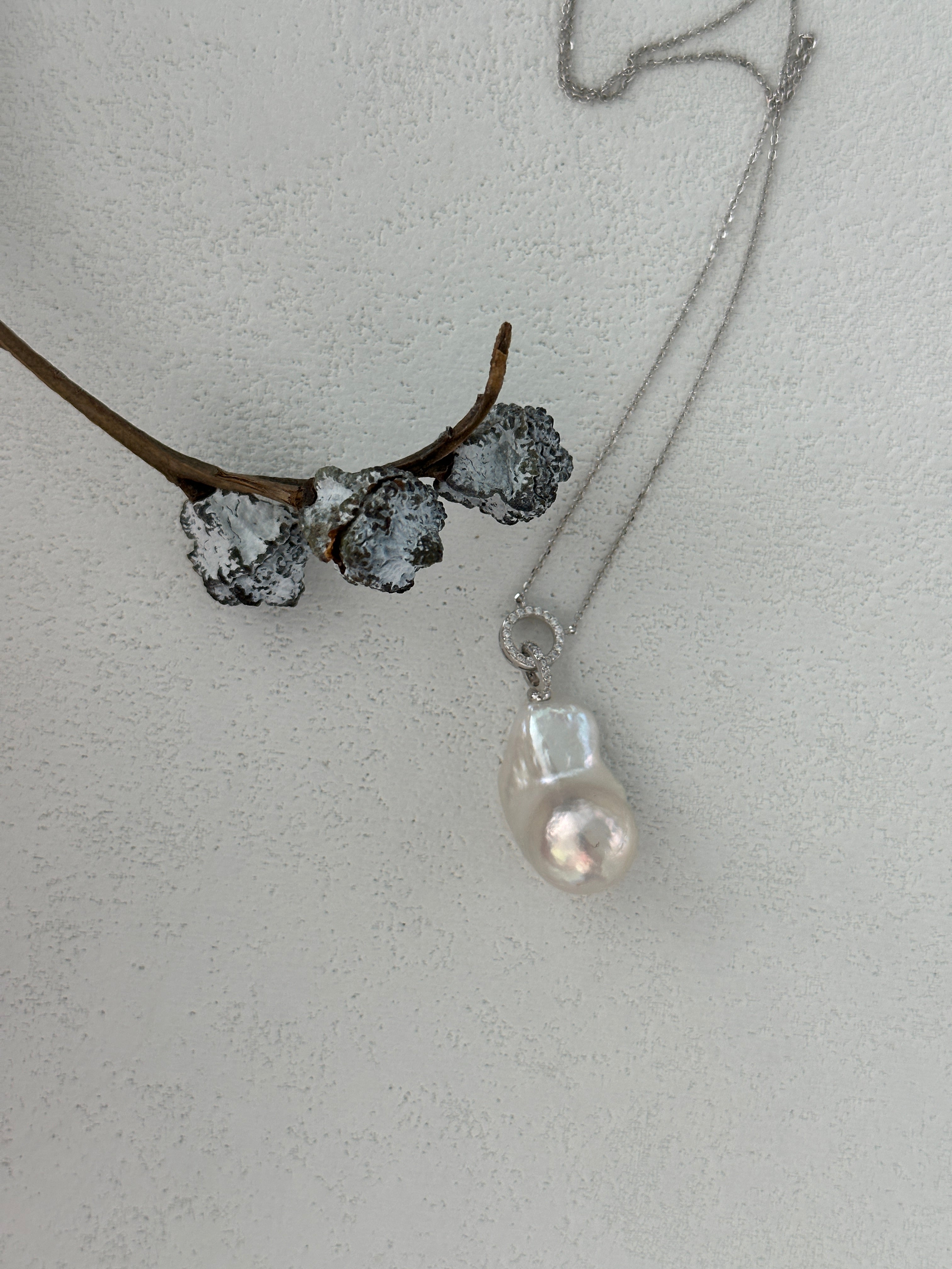 A baroque pearl pendant necklace with a silver chain and a small silver dangle earring attached to a branch with scattered rocks.